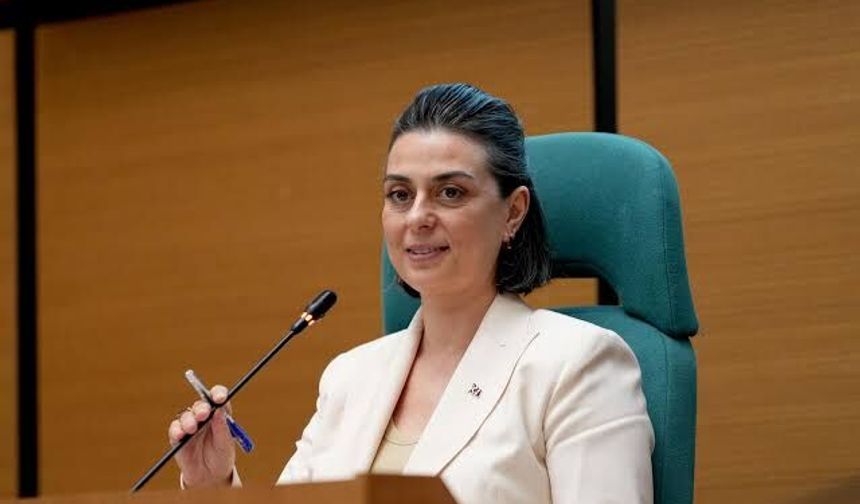 Sinem Dedetaş’ın savcılık ifadesi ortaya çıktı: 260 milyon liralık gelir sorusuna dikkat çeken yanıt