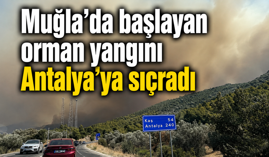 Muğla'da başlayan orman yangını Antalya'ya sıçradı
