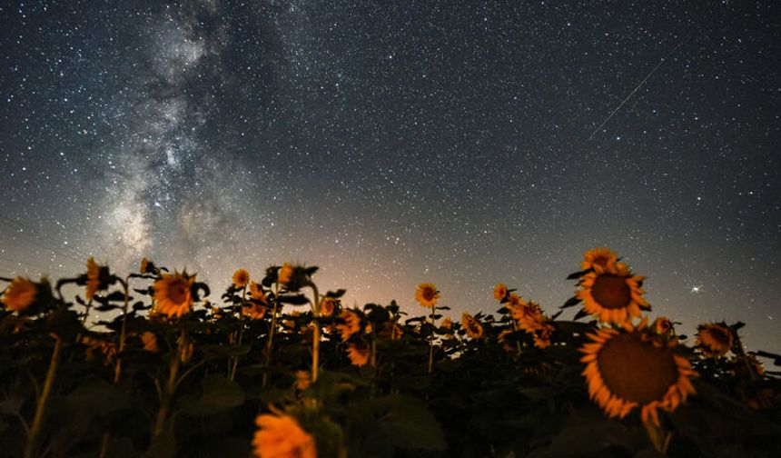 Meteor yağmuru görsel şölen sundu