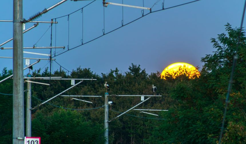 Leyleklerin göç yolunda alarm! TCDD’den Küçükçekmece’de yeni önlem