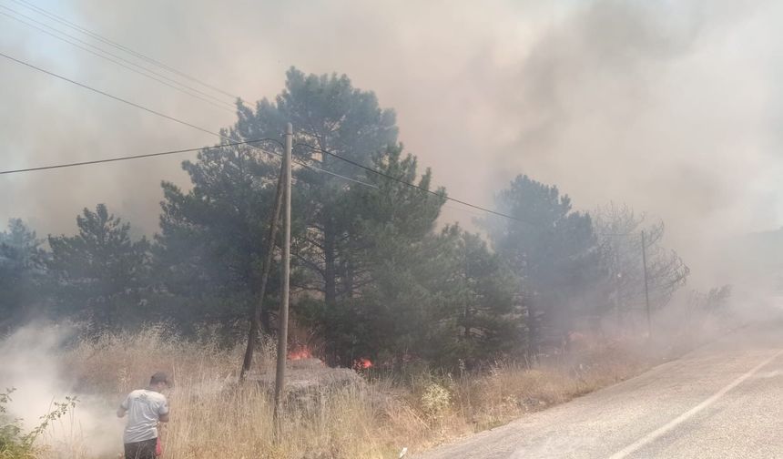 Kırşehir'de tarlalar küle döndü: Binlerce dönüm yok oldu!