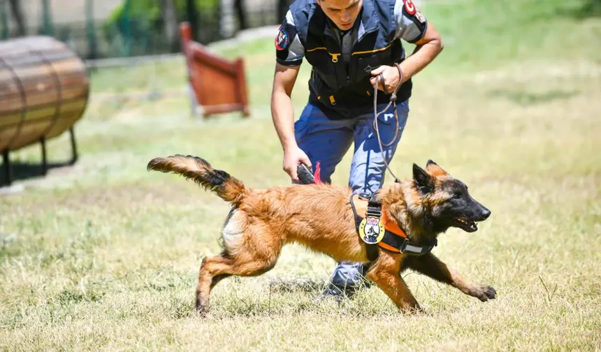 Ankara’da K9 ekipleri 7/24 sahada! Başkent’in kritik noktalarında güvenlik nöbeti