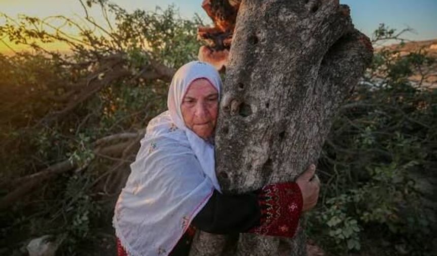 B'Tselem'den Batı Şeria ikazı: "İsrail'in etnik temizliği herkesin gözü önünde hızlanıyor"