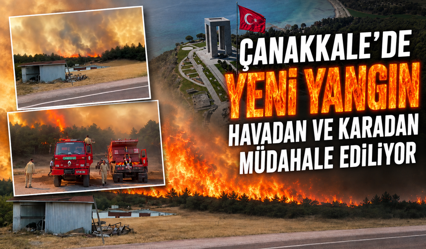 Çanakkale'de yeni yangın: Havadan ve karadan müdahale ediliyor