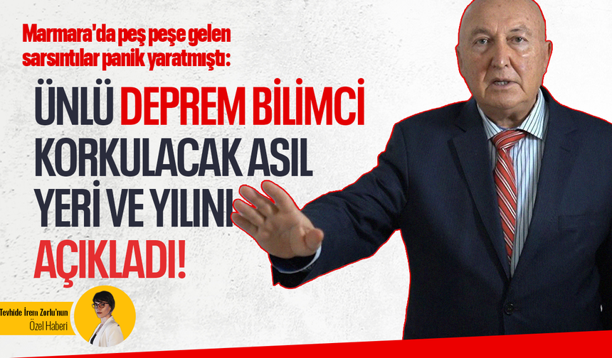 Marmara'da peş peşe gelen sarsıntılar panik yaratmıştı: Ünlü Deprem Bilimci korkulacak asıl yeri ve yılını açıkladı!