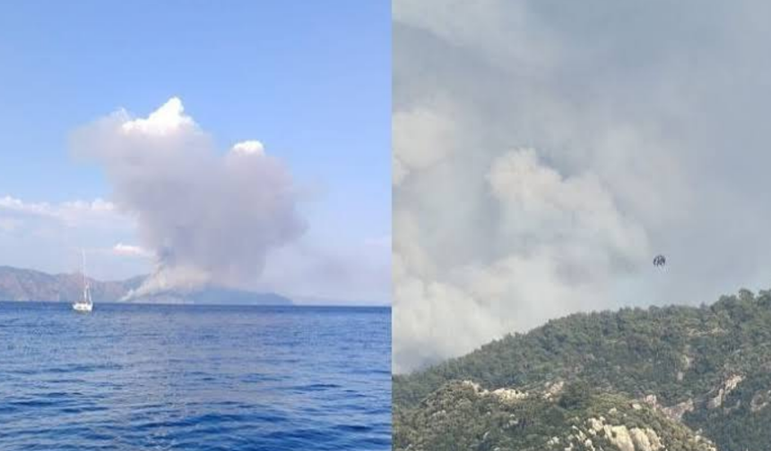 Muğla Marmaris'te orman yangını! Ekipler seferber oldu