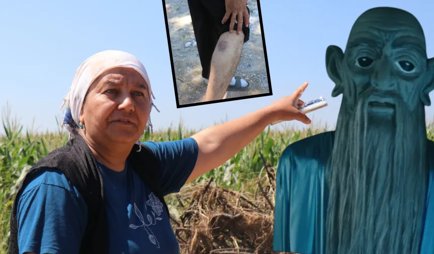 Mahallede “Gulyabani” paniği! Geceleri ortaya çıkıyor, evleri hedef alıp kaçıyor