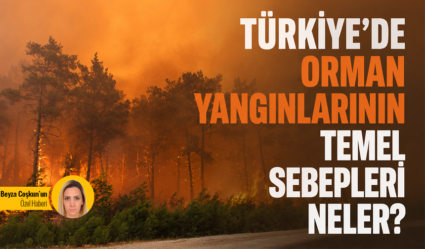 Türkiye’de orman yangınlarının temel sebepleri neler?