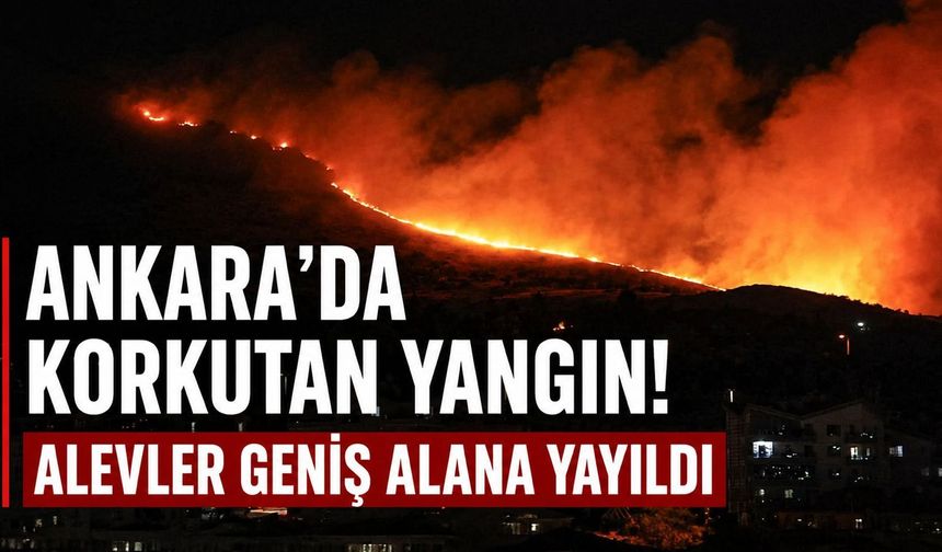 Ankara'da ağaçlık alanda çıkan yangın geniş alana yayıldı!
