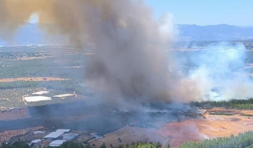 Antalya'nın Gazipaşa ilçesinde çıkan orman yangını kontrol altına alındı