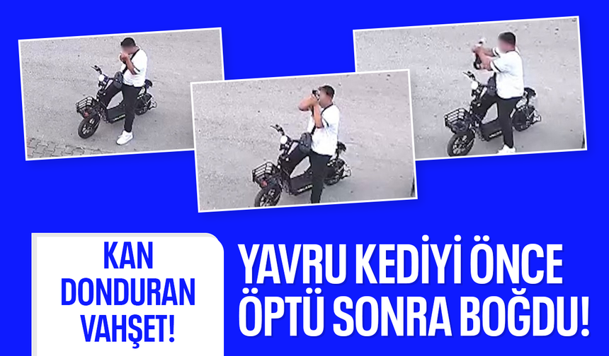 Önce öptü, sonra boğdu! Savunmasız kediyi öldürdüğü anlar kamerada