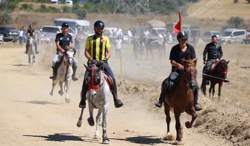Bolu’da 75 at rahvan yarışlarında mücadele etti