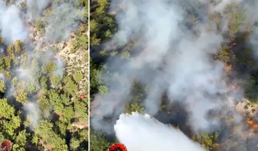 Antalya’da orman yangını! 6 hava aracı müdahalede