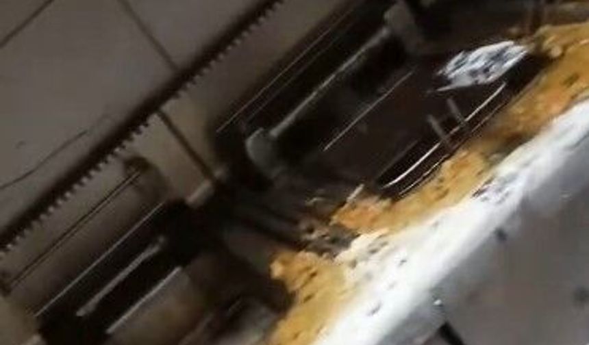 Aydın'da bir balık restoranının mutfağı görüntülendi: Hijyen koşulları tepki çekti