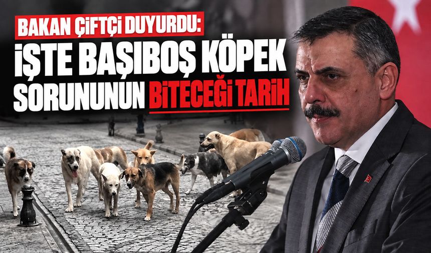 Bakan Çiftçi duyurdu: İşte başıboş köpek sorununun biteceği tarih