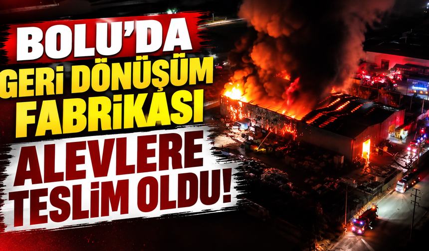 Bolu'da geri dönüşüm fabrikası alevlere teslim oldu!