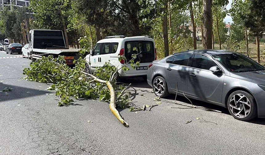 Çorlu’da şiddetli rüzgar! Ağaç dalı iki araca düştü