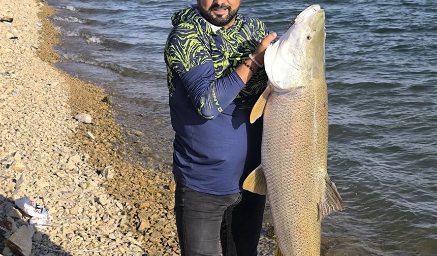Keban Baraj Gölü’nde oltaya dev turna takıldı! Tam 30 kilo