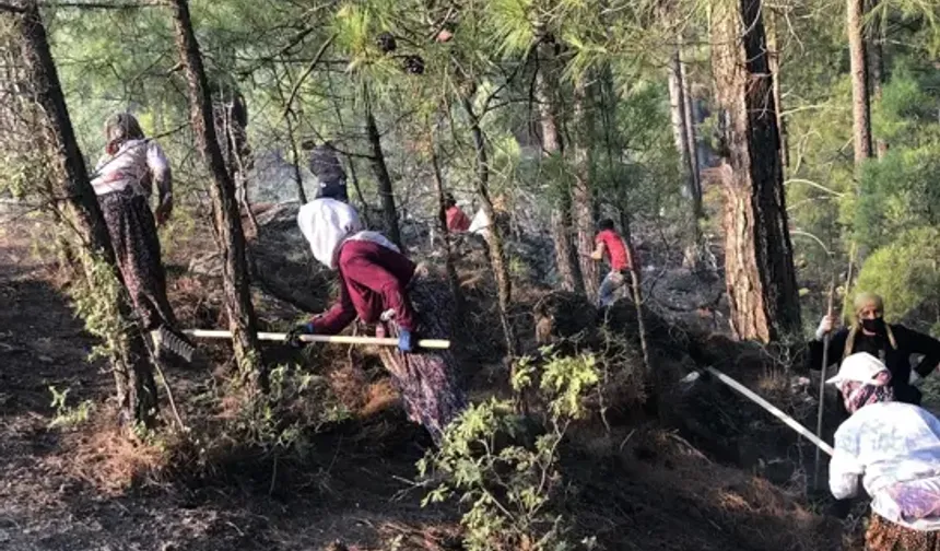 Manavgat yangınında köylerini korudular! Ödülle taçlandı