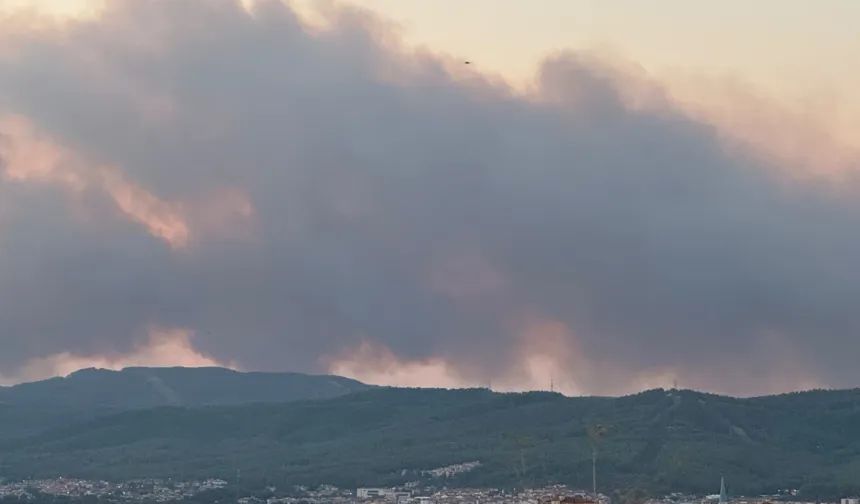 Muğla'da orman yangını! Alevlere havadan ve karadan müdahale ediliyor