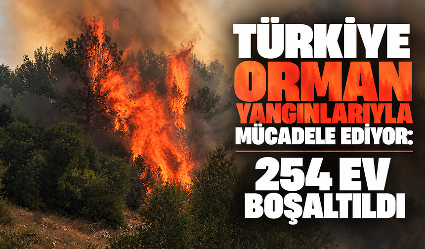 Türkiye orman yangınlarıyla mücadele ediyor: 254 ev boşaltıldı