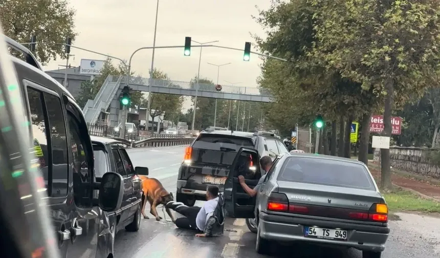 Sabah koşusu kabusa döndü! Köpek ayağından ısırdı