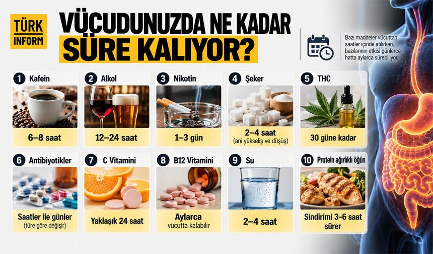 Kahveden şekere, nikotinden vitamine: Vücutta ne kadar kalıyorlar?