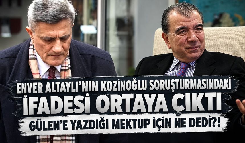 Enver Altaylı'nın Kozinoğlu soruşturmasındaki ifadesi ortaya çıktı: "Varsayalım ki yazdım..."