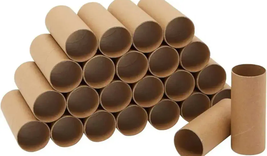 Çöpe attığınız karton ruloların 15 kullanım alanı var! Bu fikirler şaşırtacak
