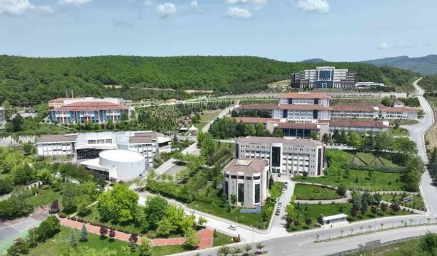 Düzce Üniversitesi personel alımı başvurusu nasıl yapılır, şartları neler?