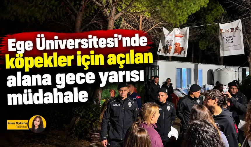 Ege Üniversitesi'nde köpekler için açılan alana gece yarısı müdahale