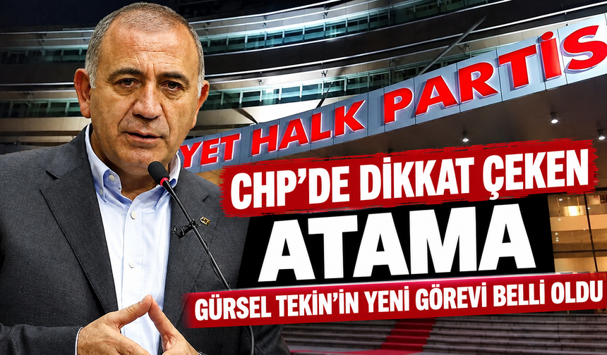 Gürsel Tekin'in yeni görevi belli oldu