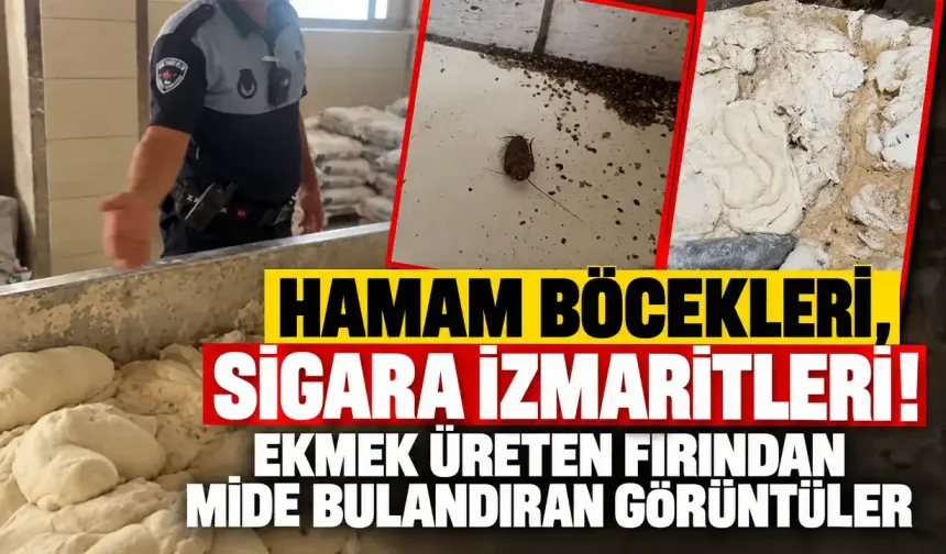 Hamam böcekleri, sigara izmaritleri! Ekmek üreten fırından mide bulandıran görüntüler