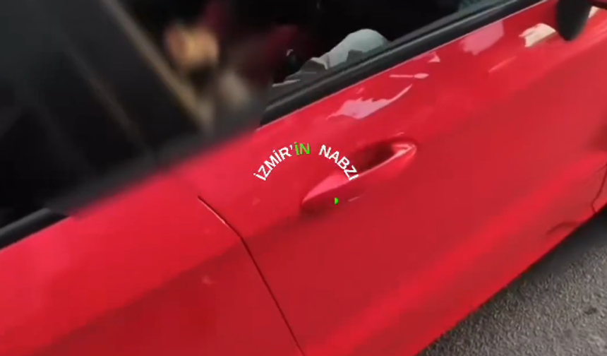 İzmir’de arabayla kedinin üzerinden geçti, durmadan yoluna devam etti!