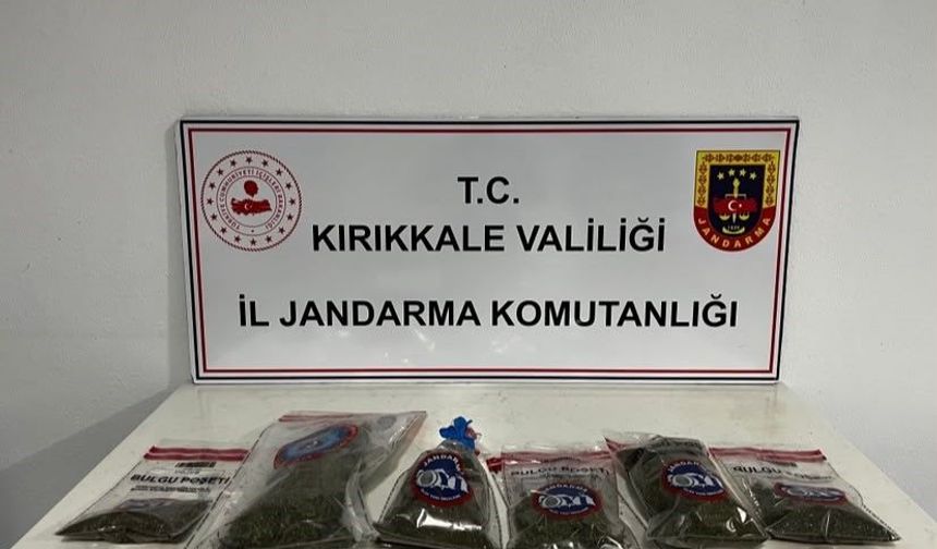 Kırıkkale’de ev bahçesinde 14 kök kenevir ve 1 kilo esrar bulundu