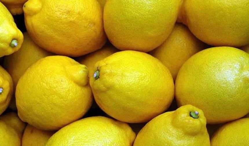 Limon üreticide ucuzladı markette ucuzlamadı: Fark 11 kata çıktı