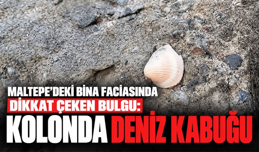 Maltepe'deki bina faciasında dikkat çeken bulgu: Kolonda deniz kabuğu