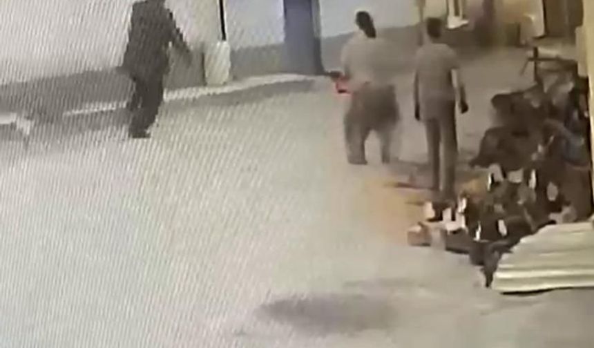 Testereli kadın, yaşlı adamı korkutup böyle düşürdü: Bursa'da akılalmaz anlar kamerada