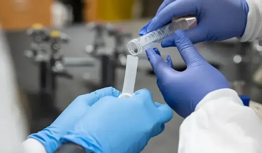 Sibirya'da şüpheli veba vakası! 5 bin test yapıldı, AB Rusya'dan açıklama talep etti