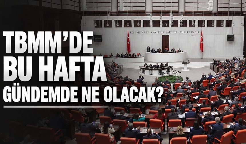 TBMM'de bu hafta gündemde ne olacak?