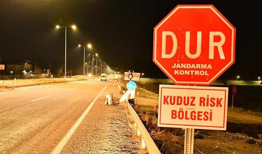 Adıyaman'da kuduz paniği