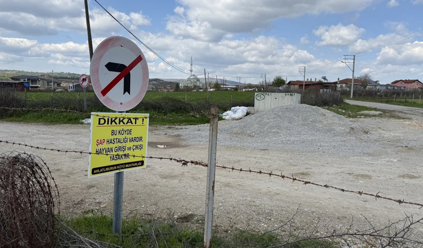 Bir köyde daha şap karantinası başladı