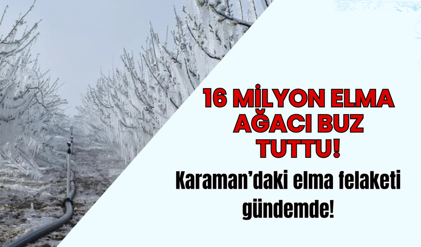 Elma cenneti Karaman’da şok görüntüler: 16 milyon elma ağacı buz tuttu!