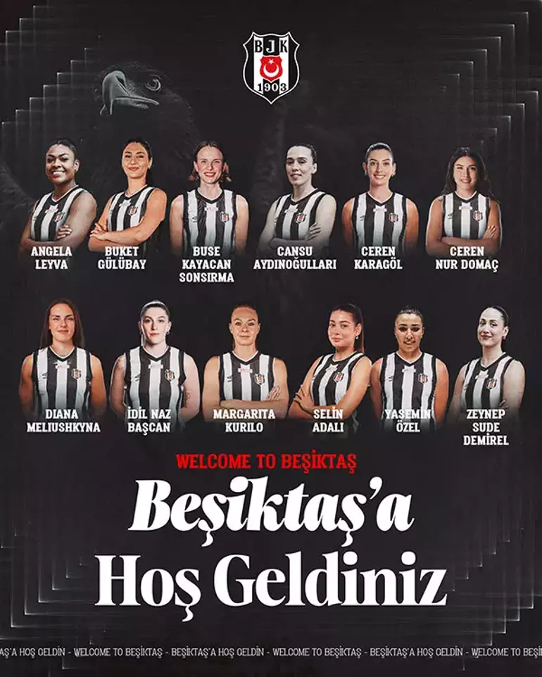 Bjk Voleybol