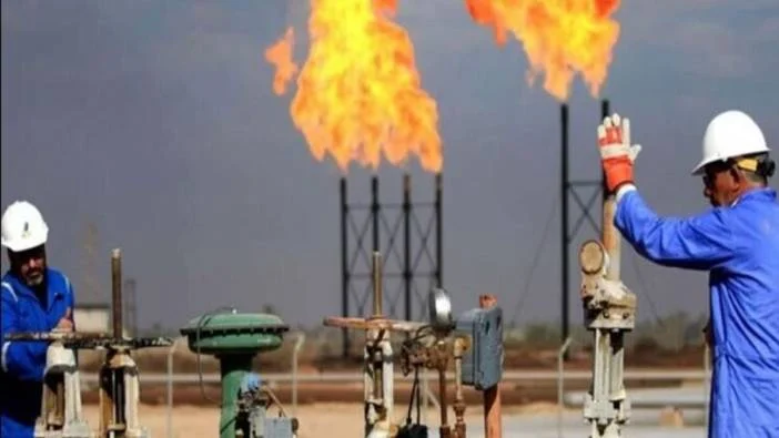 Doğal Gaz Fiyatı (1)
