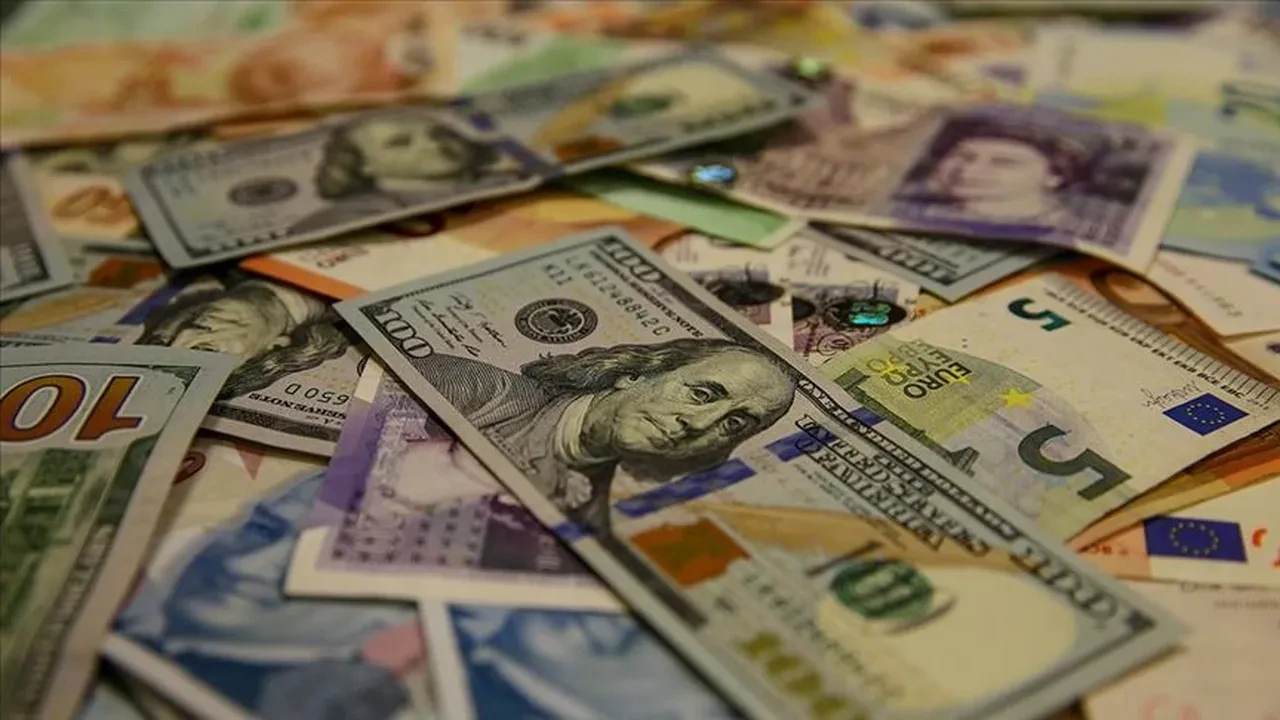 Dolar Ne Kadar-2