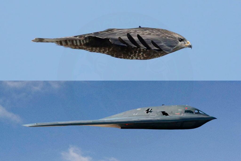 B2 abd bombardıman uçağı