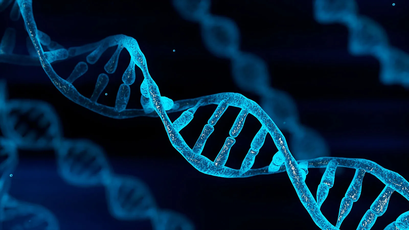 Dna