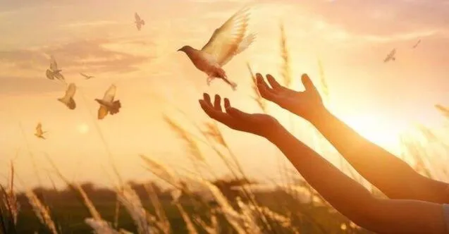 Hanemdeki Huzur Ve Mutluluk H54176 Fc240.Jpg