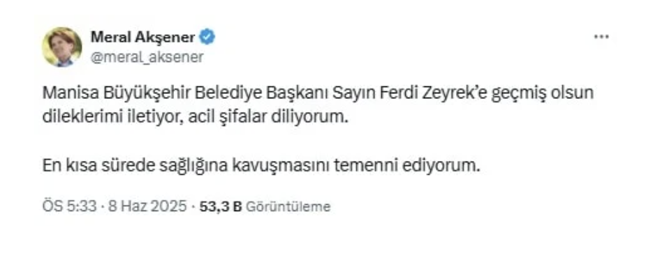 Meral Akşener X